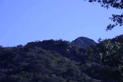 DSC_2073 (Large).JPG